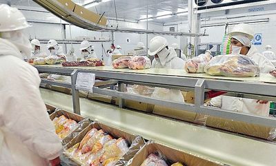 Ganaderos, ya “en pánico”, urgen intervenir ante caída de precios manejados por frigoríficos - Nacionales - ABC Color