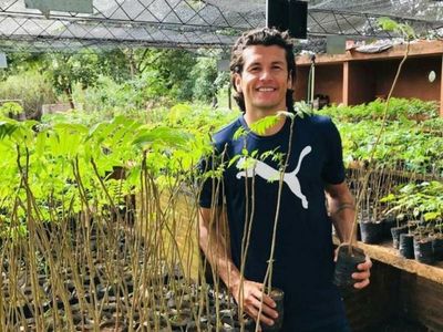 Palau comparó a Haedo con un tronco