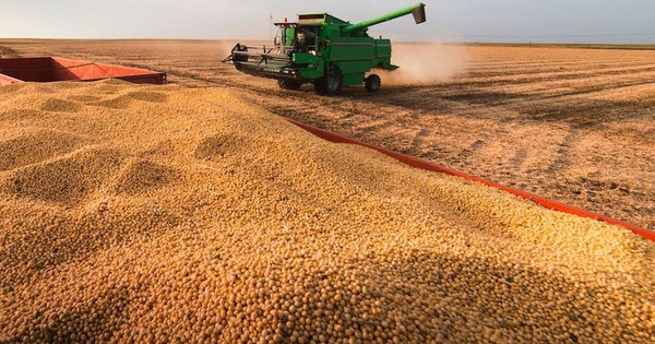 Buen rendimiento de soja y costos de producción bajos ayudan a compensar pérdidas