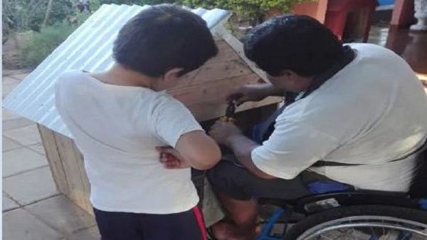 Construye casitas para perro en dos ruedas