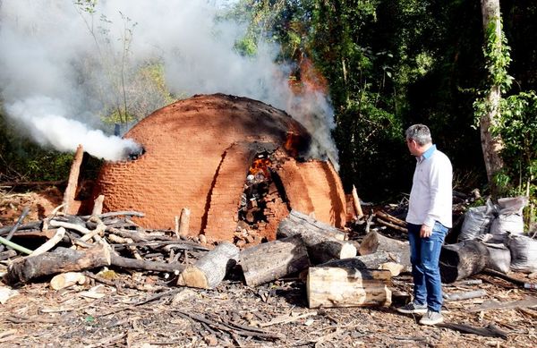 Persiste criminal depredación del Parque Nacional San Rafael en Tavaí - Interior - ABC Color