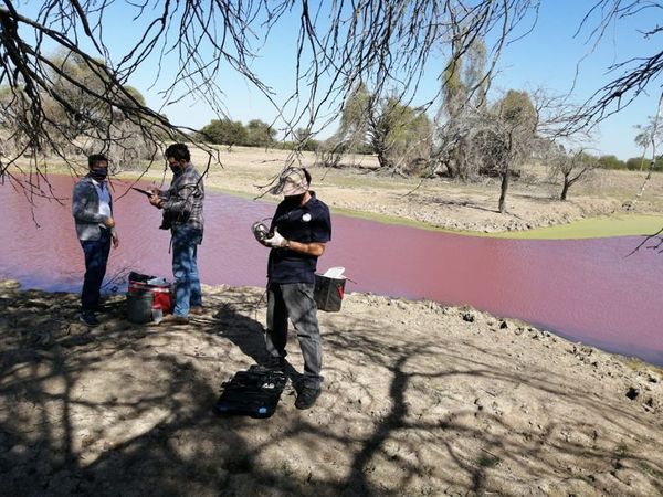 Toman muestras para saber por qué un tajamar se tiñó de rojo en Loma Plata - Nacionales - ABC Color