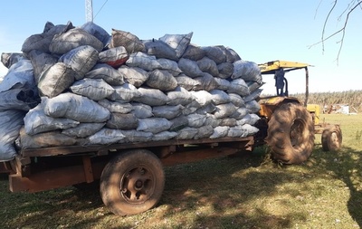 FABRICABAN CARBÓN CON ÁRBOLES DE LA RESERVA SAN RAFAEL.