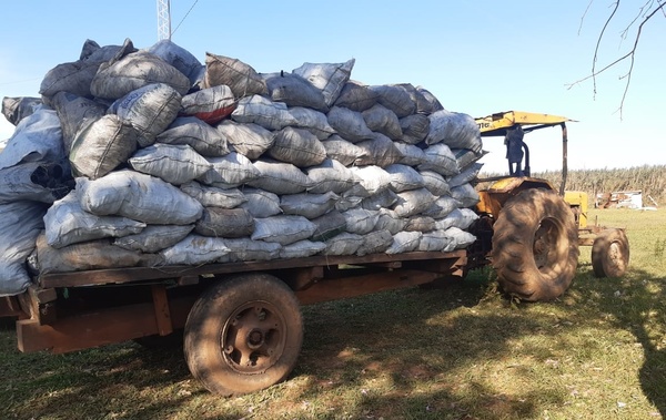 FABRICABAN CARBÓN CON ÁRBOLES DE LA RESERVA SAN RAFAEL.