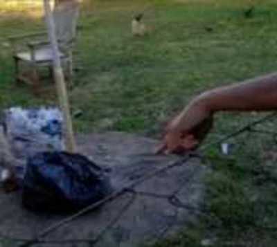 Caaguazú: Hallán bebé recién nacido entre bultos de basura - Paraguay.com