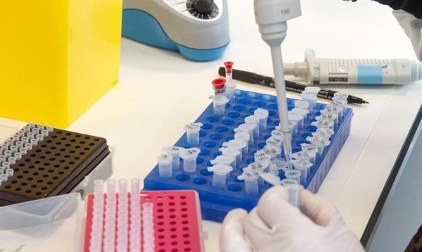 HOY / Laboratorio israelí realiza exitoso ensayo de vacuna contra el COVID-19 en roedores