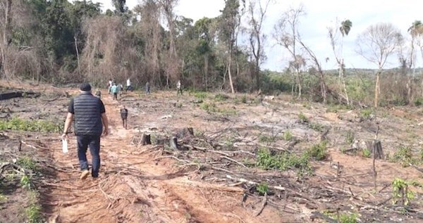 Provocan feroz sarambi a causa de un desmonte | Crónica