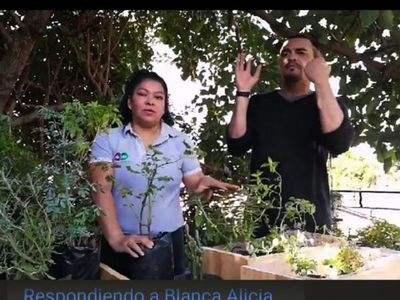 Cursos virtuales de panadería y de jardinería, un éxito en cuarentena