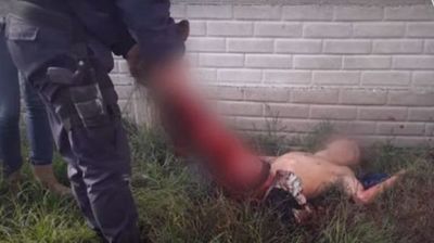 Dos pitbull acaban con la vida de supuesto ladrón