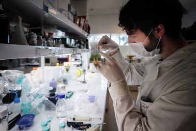 Curva de contagios crece en  Brasil y en Argentina - Internacionales - ABC Color