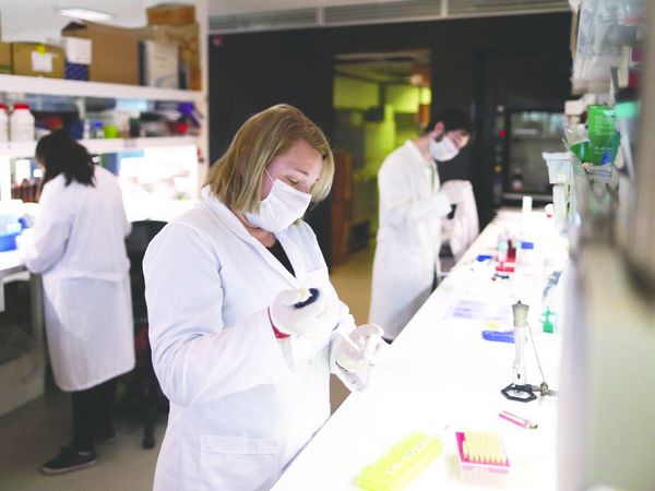 Negar que existe la COVID-19 es nueva creencia peligrosa