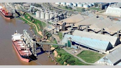 Vicentin en Paraguay: sospechas de manejos muy turbios - El Trueno