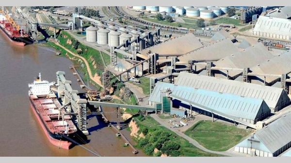 Vicentin en Paraguay: sospechas de manejos muy turbios - El Trueno