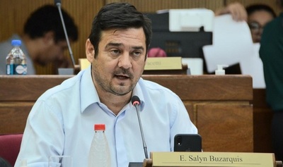 Busarkis advierte que Presidente cometerá un "error" si veta ley que anula facturas de ANDE