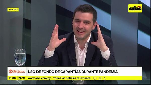 En Detalles: ¿Ampliarán la garantía del Fogapy? - En Detalles - ABC Color