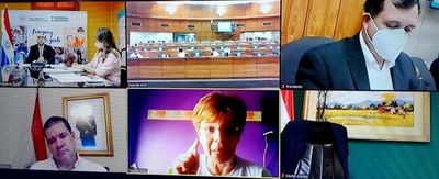 Legisladores critican baja ejecución de Salud Pública - Política - ABC Color
