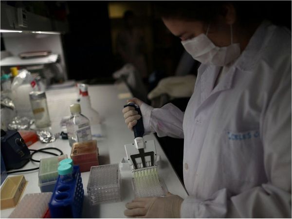 Israel prueba posible vacuna contra Covid en hámsteres