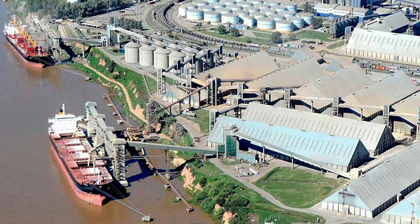 Vicentin en Paraguay: sospechas de manejos muy turbios - El Trueno