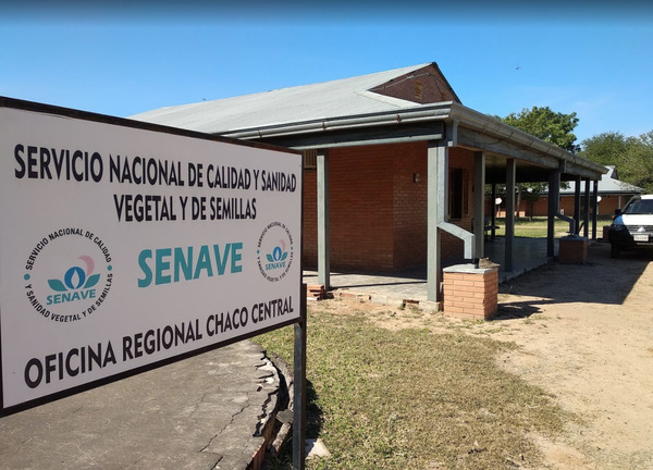 Monitoreos de SENAVE continúan en el Chaco pese a pandemia