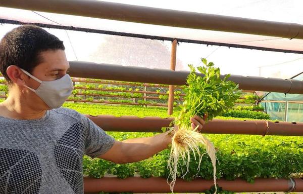 Joven sale adelante mediante el cultivo hidropónico en Pilar