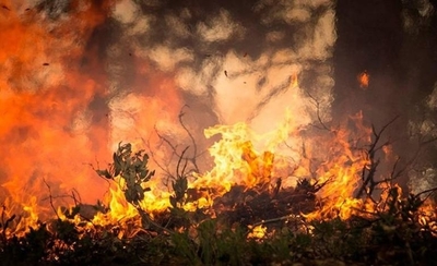 HOY / Ausencia de agua incrementa riesgo de nuevos incendios forestales, advierten desde la SEN