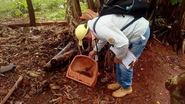 Recuerdan no bajar la guardia en eliminación de criaderos de dengue - ADN Paraguayo