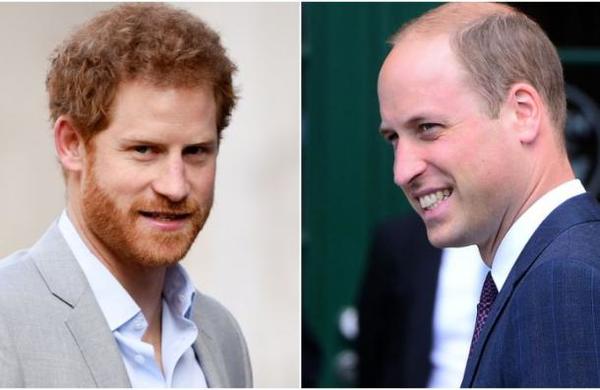 Historiador de la monarquía revela detalles de la ruptura entre Harry y William - SNT