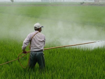Un juez de EEUU prohíbe a California advertir que el Roundup causa cáncer