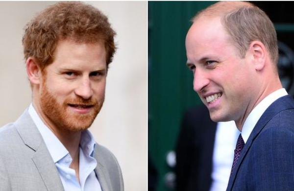 Historiador de la monarquía revela detalles de la ruptura entre Harry y William - C9N