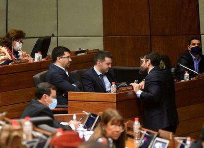 Analizan veto que autoriza a juez otorgar nacionalización - Política - ABC Color