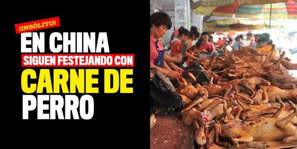 China: comenzó el tradicional Festival de carne de perro a pesar de la pandemia de coronavirus