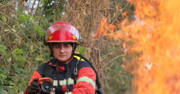 Incendios forestales suelen ser a causa de la imprudencia, aquí algunos tips para evitarlos