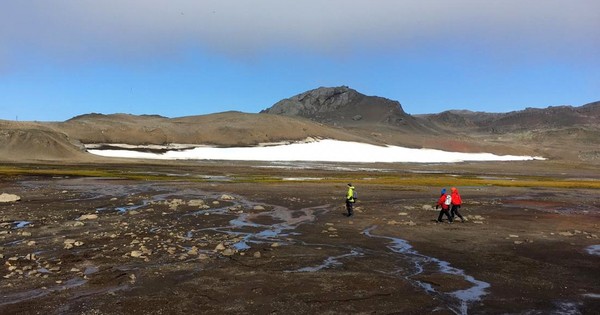 Hallan microplásticos en el ecosistema terrestre de la Antártida