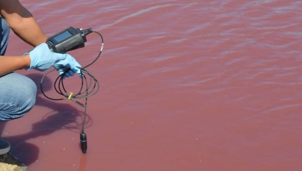 HOY / Técnicos del Ministerio del Ambiente estudian tajamar que se tiñó de rojo
