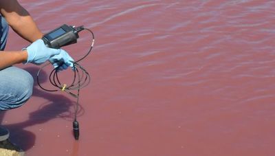 Técnicos descartan preliminarmente vertidos de efluentes como causa del agua roja en el Chaco - Nacionales - ABC Color