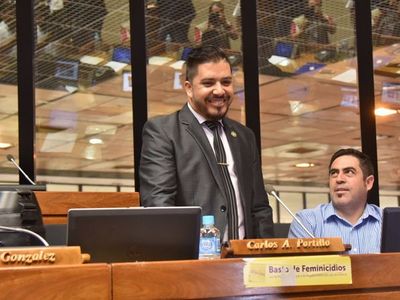 Pintoresca DDJJ del diputado Carlos Portillo