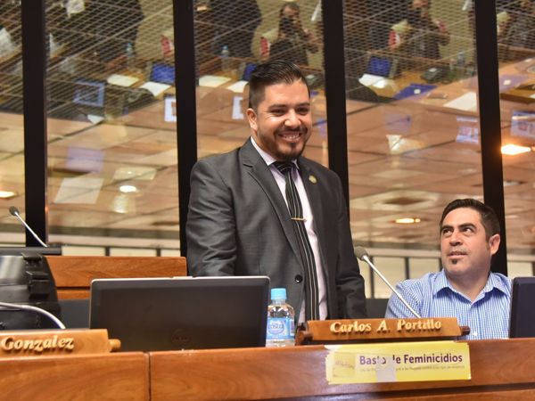 Pintoresca DDJJ del diputado Carlos Portillo