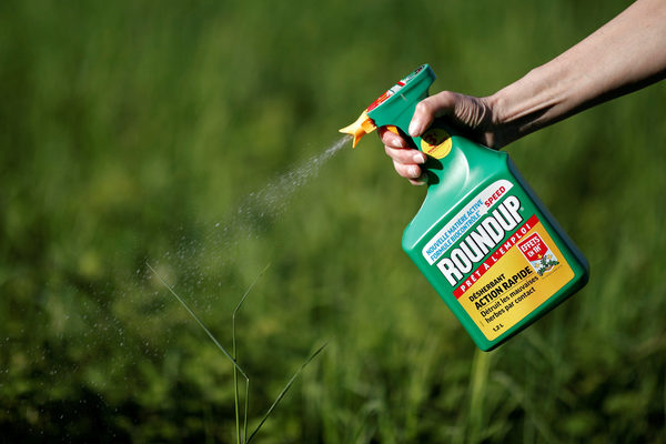 Bayer acepta pagar US$ 10.900 millones a las víctimas del herbicida Roundup en Estados Unidos