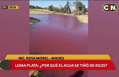 Loma Plata: ¿Por qué el agua se tiñó de rojo? - C9N