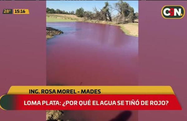 Loma Plata: ¿Por qué el agua se tiñó de rojo? - C9N