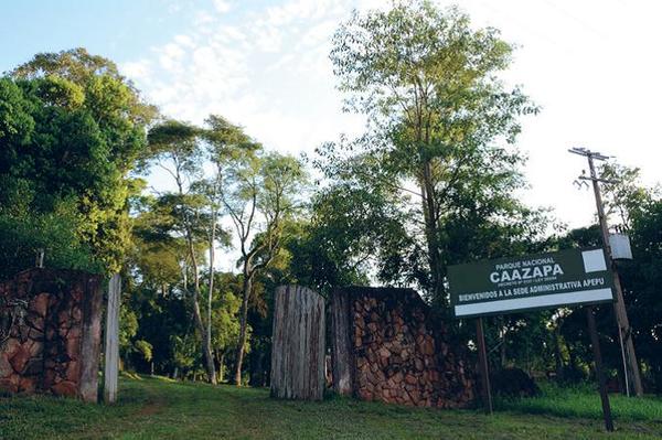 Presentan proyecto de reforestación para Caazapá