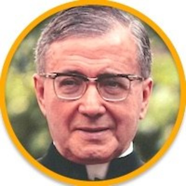 San Josemaría Escrivá de Balaguer | Crónica