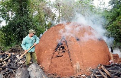 Más de 200 hornos para elaboración de carbón en el parque San Rafael - Interior - ABC Color