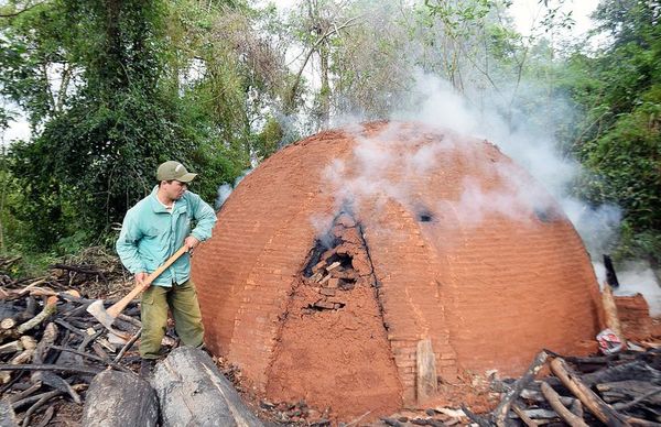 Más de 200 hornos para elaboración de carbón en el parque San Rafael - Interior - ABC Color