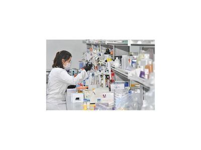 Aprueban inicio de tratamiento con plasma para infectados
