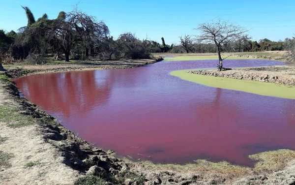 Mades toma muestras del tajamar rojo de Loma Plata - Interior - ABC Color