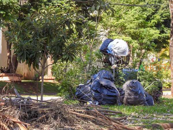 Intendente de CDE se NIEGA a retirar BASURA de las calles y plazas de las áreas habitacionales