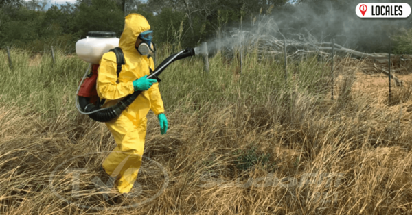 Piden a productores estar alertas ante el riesgo de ingreso de langostas