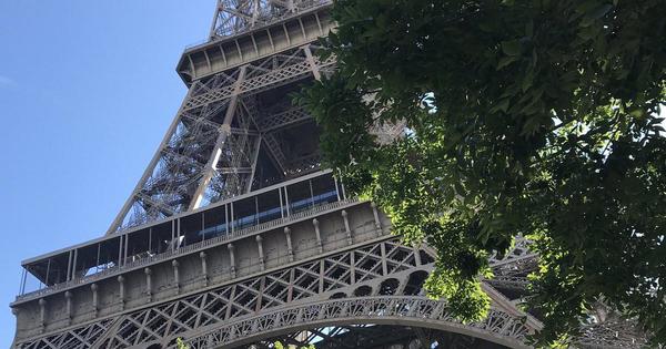 La Torre Eiffel volvió a recibir turistas luego de 104 días