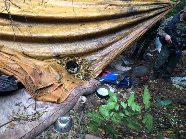 Prófugos usan a perros como “campanas” - Nacionales - ABC Color